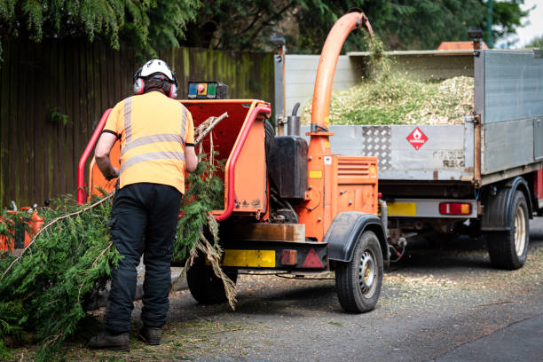Best Seasonal Cleanup (Spring/Fall)  in Mulino, OR