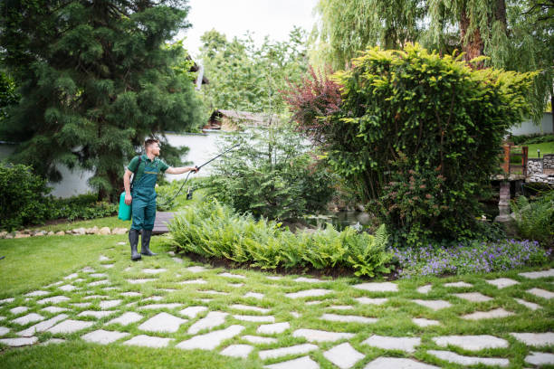 Best Soil Testing and Treatment  in Mulino, OR